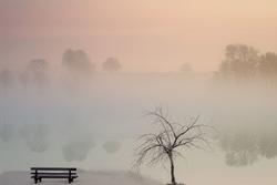 Candida: un disturbo difficile da debellare